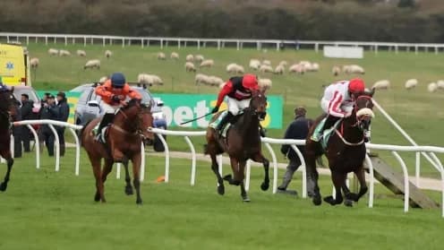 "The Real Whacker Aims for Glory in Betfair Chase at Haydock"