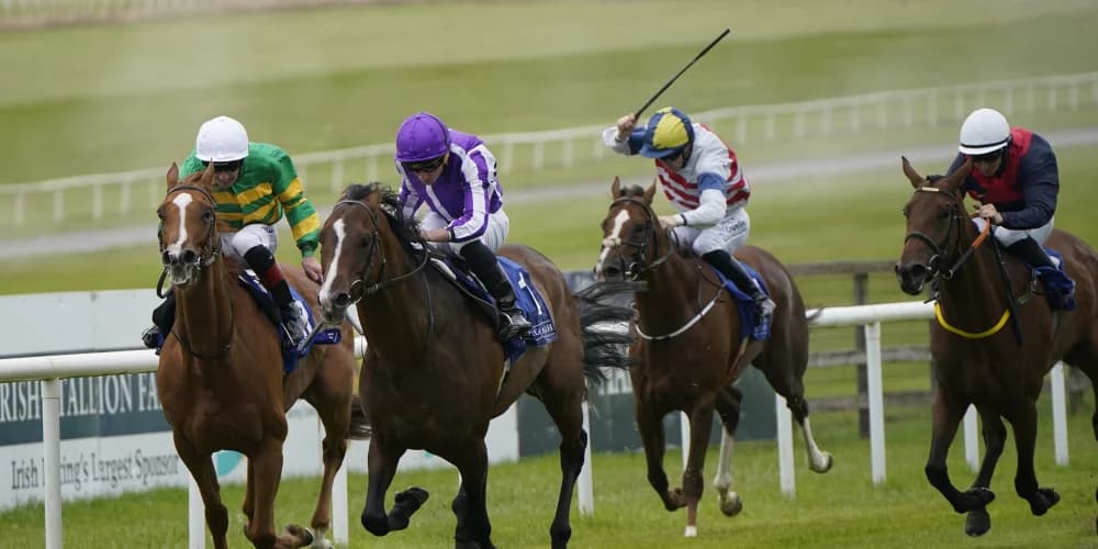 Continuous back to winning ways with Royal Whip strike