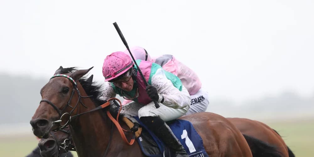 Bluestocking sees off all-comers in Prix Vermeille