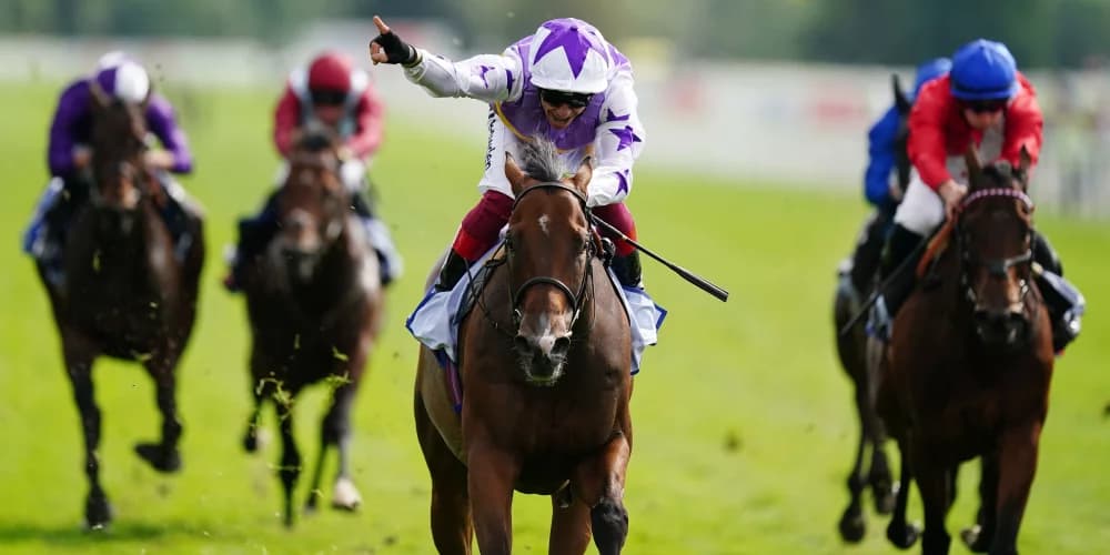 All roads lead to the Knavesmire again for Kinross