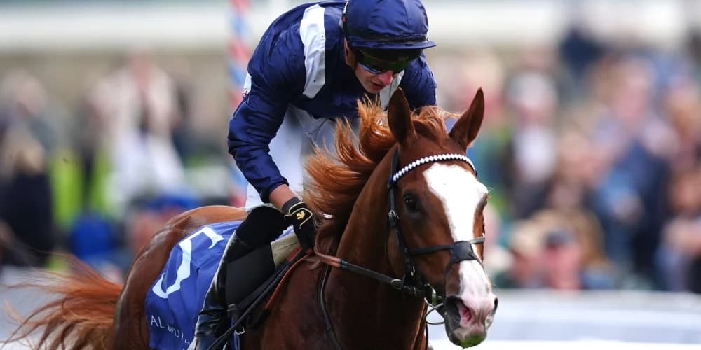Economics returns with stylish Deauville victory