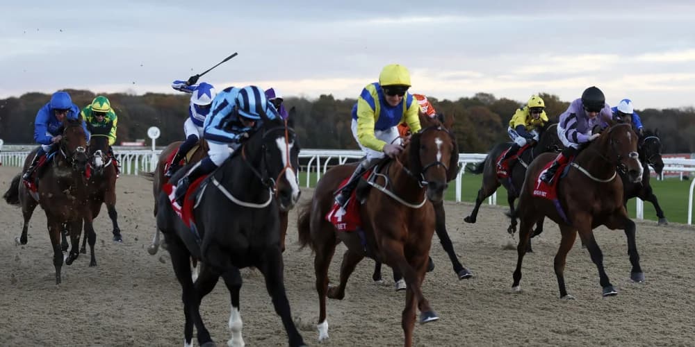 Ellison planning dual challenge for Northumberland Plate