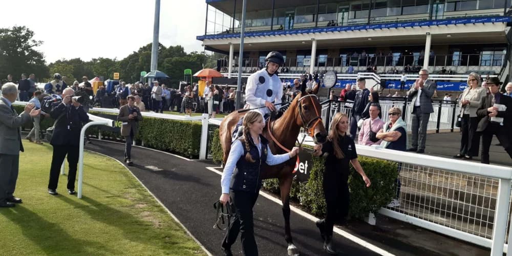 Tiffany comes home alone in Newcastle feature