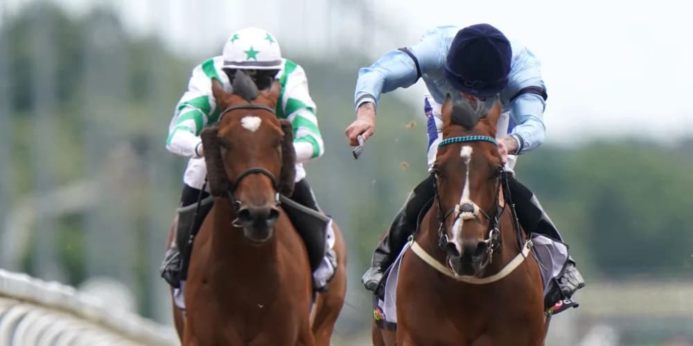 Spycatcher strikes at Deauville once more