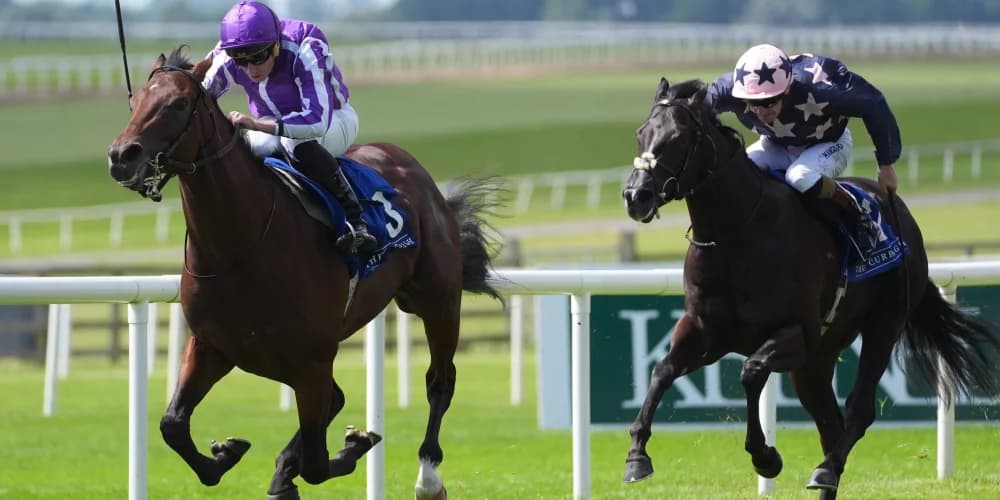 Delacroix does it nicely to get off the mark at the Curragh