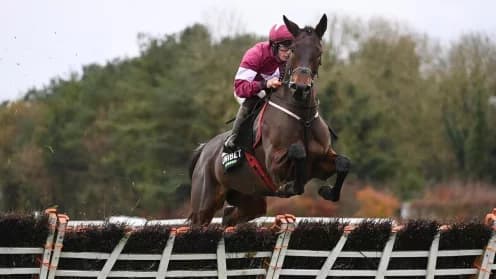 Brighterdaysahead Shocks State Man in Morgiana Hurdle Win