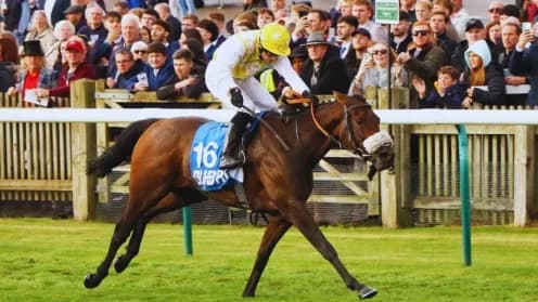 Controversy Erupts After Alphonse Le Grande's Cesarewitch Win