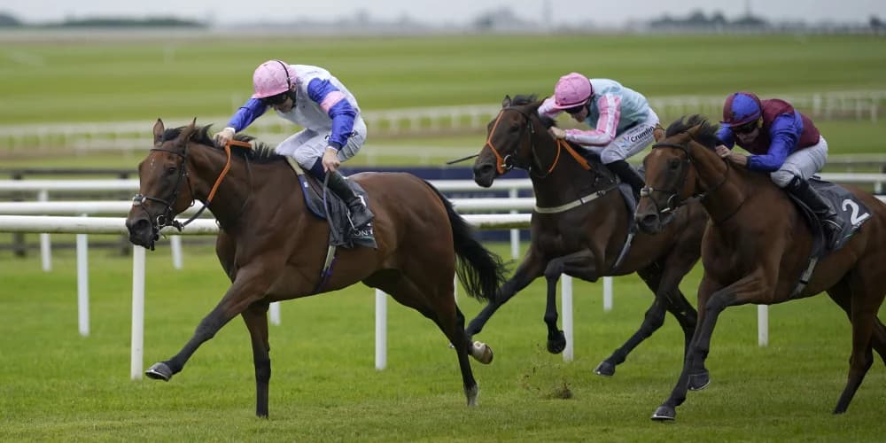 "Clash of Titans: Irish Oaks Rivals Face Off Again in Yorkshire's Top Race!"