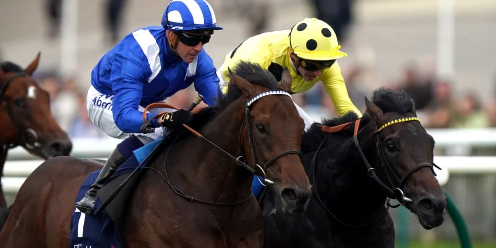 Alyanaabi and Al Aasy both set to represent Shadwell at Newbury