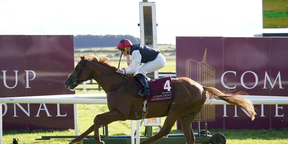 ‘One in a million’ Kyprios not ruled out of Arc contention