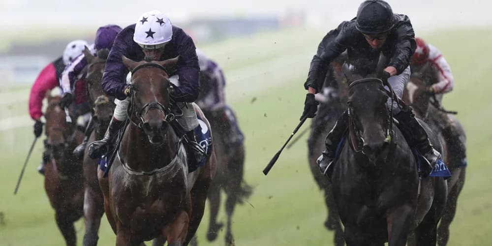 Truly Enchanting bounces back for brave Airlie triumph