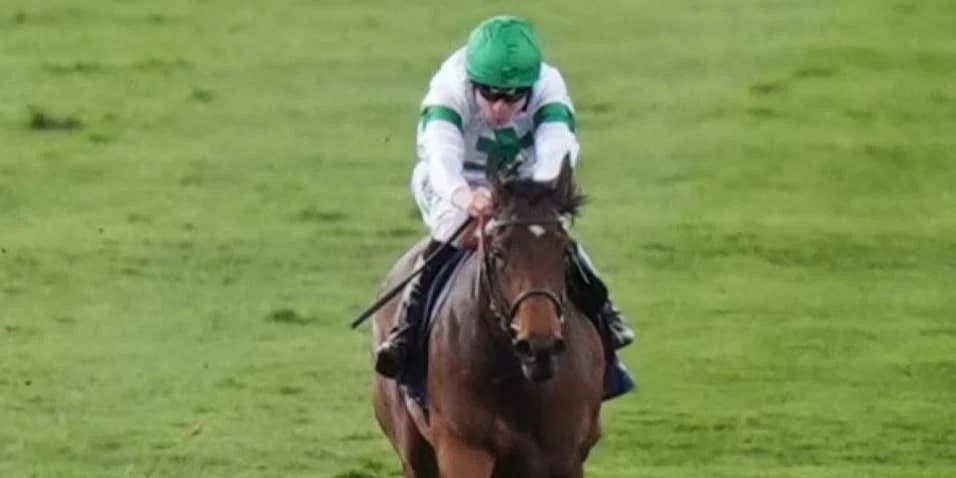 "After Prix de Diane Glory, Tamfana Aims for Atalanta Stakes Triumph"
