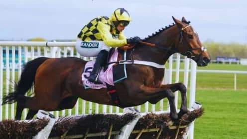 Sir Gino Set to Transition from Hurdles to Fences this Season