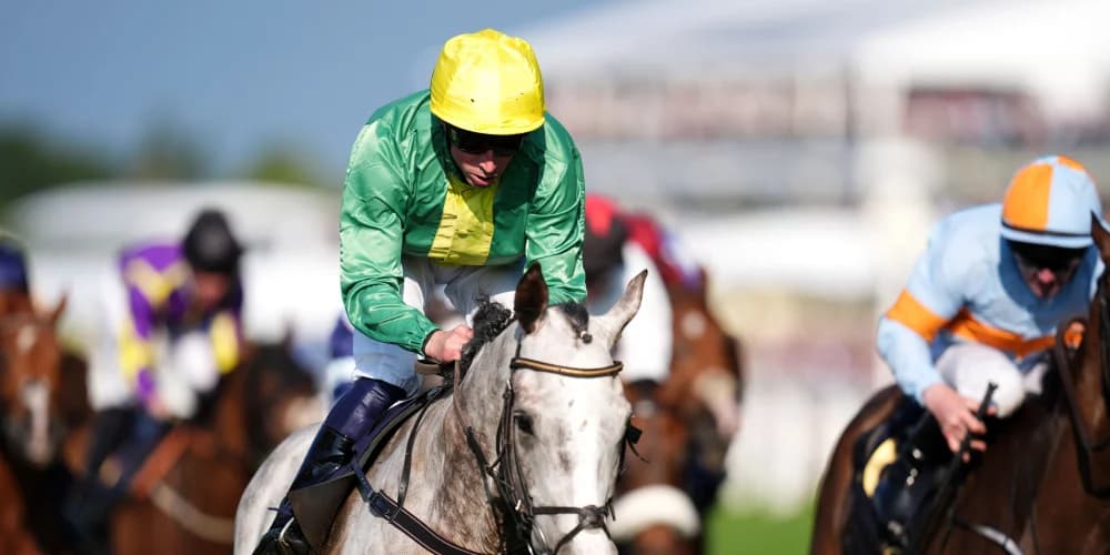 Flat possibilities open to Copper Horse winner Belloccio