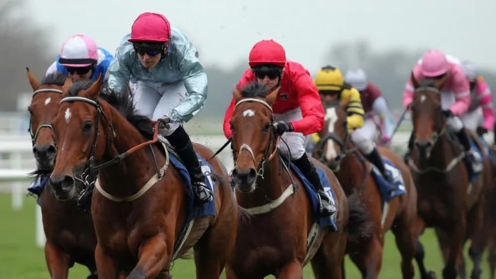 "Big Evs Eyes Redemption in Nunthorpe Stakes at York"