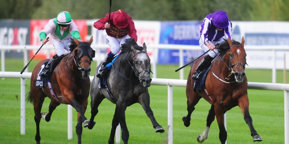 Memories of ‘phenomenal’ Roaring Lion still burn brightly for Murphy