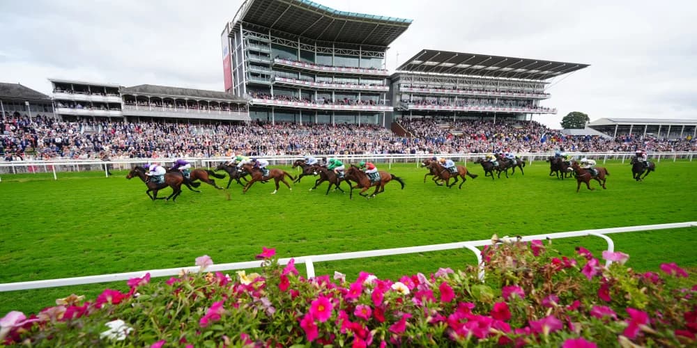 Diligently does it for Clive Cox again in big sales race