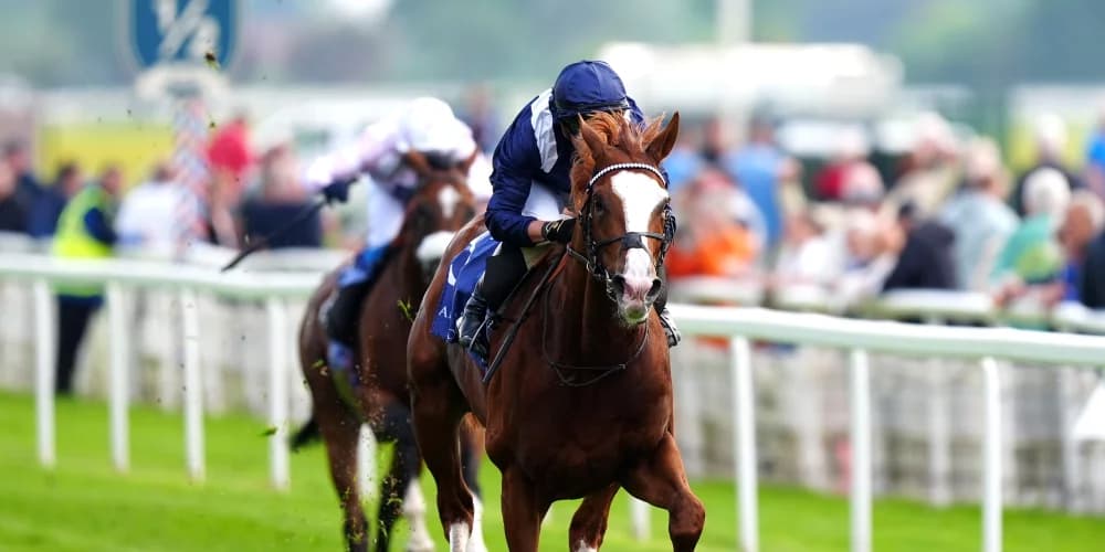 All eyes will be on Economics at Deauville on Thursday