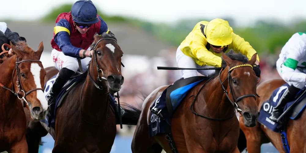 Varian favouring Sun Chariot date for Elmalka