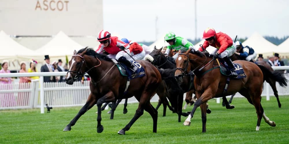 Bradsell can make his mark in Nunthorpe, says Hollie Doyle