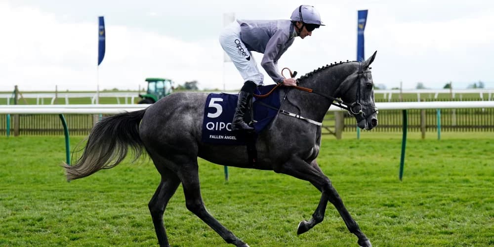 Fallen Angel’s Next Chapter: Classic Winner Prepares for Matron Stakes Comeback