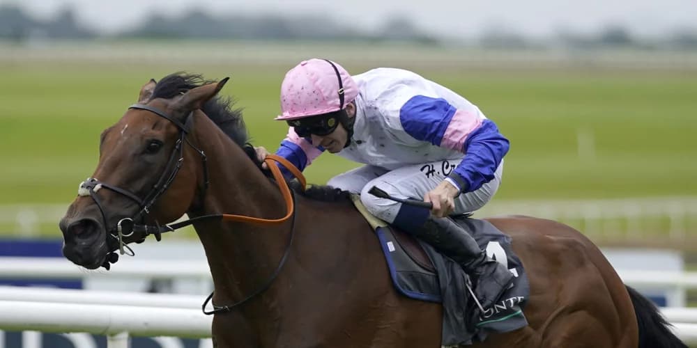 You Got To Me, the Irish Oaks heroine, was augmented for the St Leger.