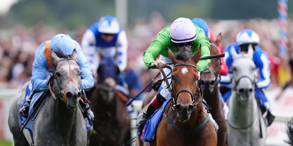 Breege springs 33-1 surprise in City of York