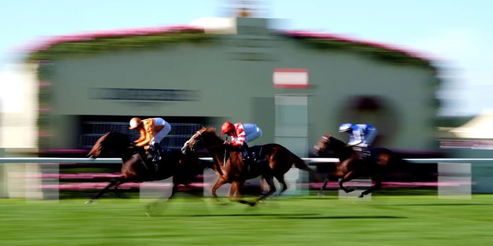 Charlton rues the one that got away with King’s Gambit a York possible