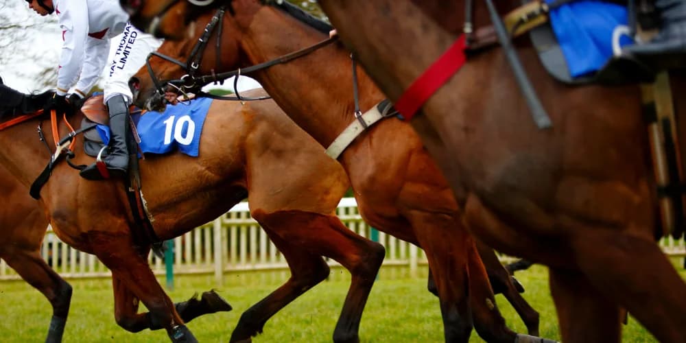 BBC Radio 4 drop daily racing tips
