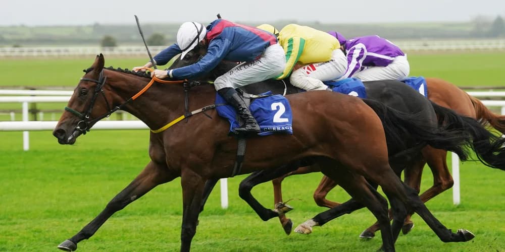 Meade looking for Classic glory with Caught U Looking