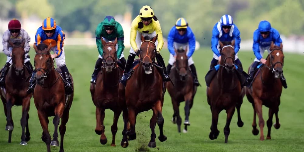 Rosallion justifies every bit of Hannon’s faith in St James’s Palace