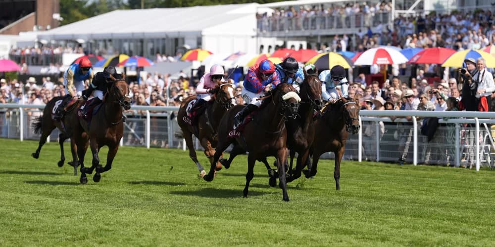 "Al Basti Equiworld Dubai Gimcrack Stakes: Big Mojo's Bold Step Up to Six Furlongs!"