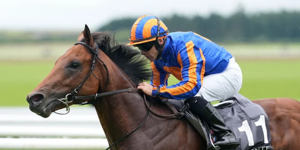 Lion roars for O’Brien at the Curragh