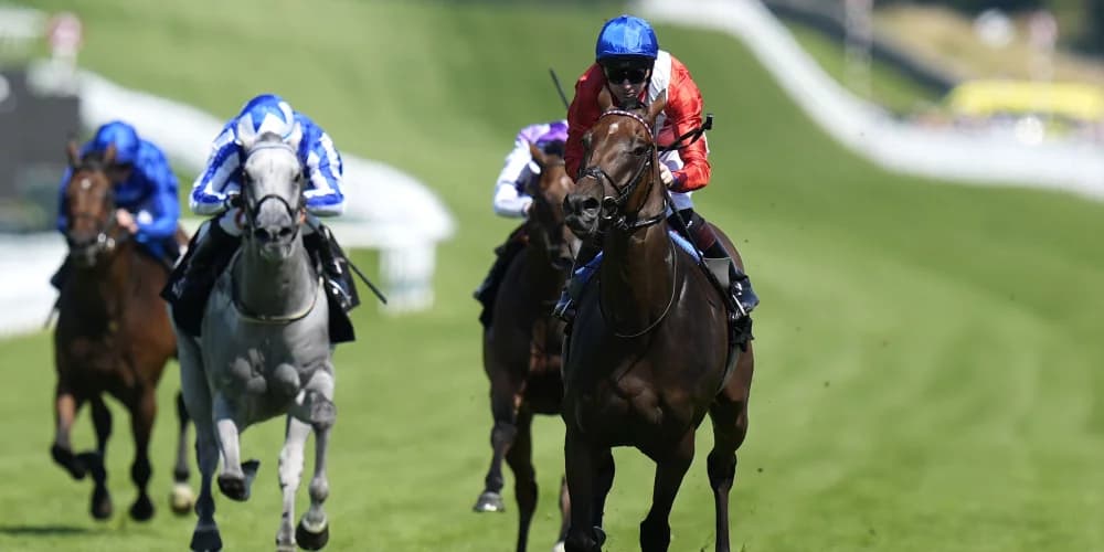 Audience seeking starring role in City of York