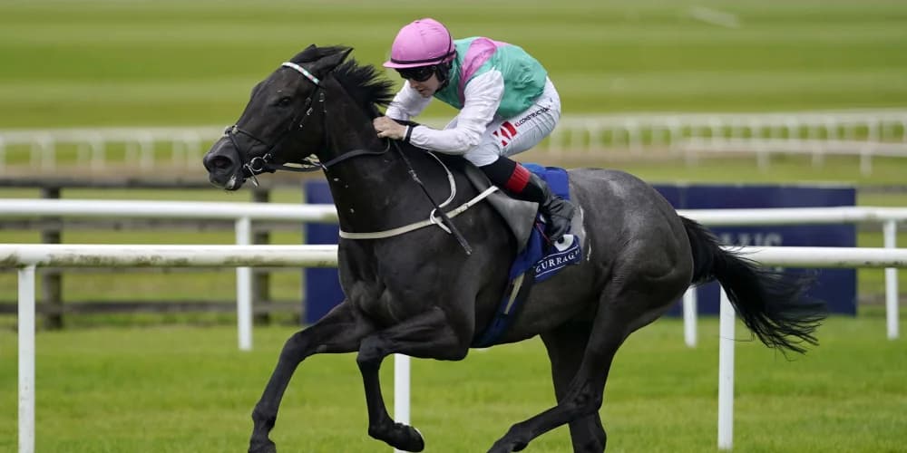 Juddmonte prepared to wait for special Red Letter day