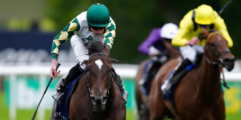 Porta Fortuna pencilled in for Matron date