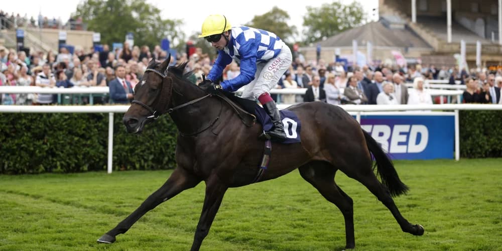 Cotter prioritises Sceptre protection for Matilda Picotte.