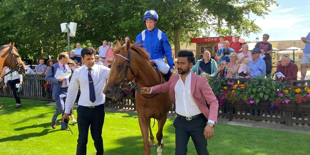 Waleefy in the winner’s circle, just like illustrious big brothers