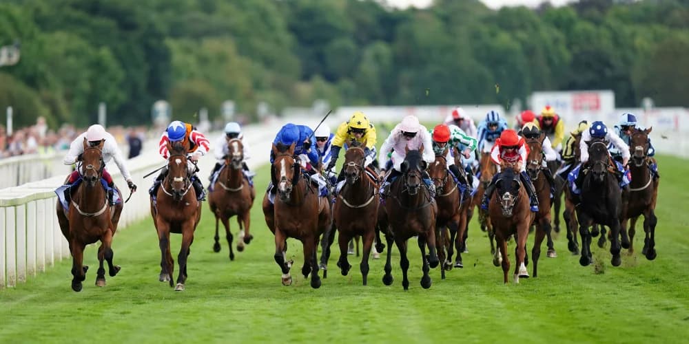 Irish raiding party again looks poweful for this year’s Ebor