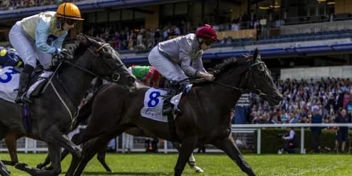 Dylan Browne McMonagle Rides Simmering in Prix Marcel Boussac