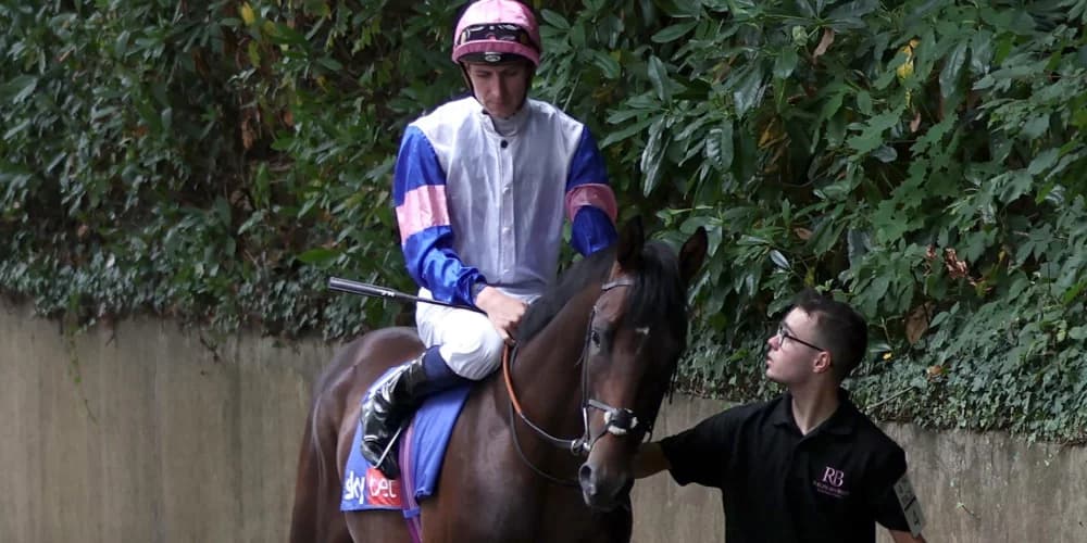 Top-level assignments on the radar for Matauri Bay