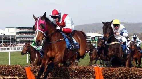 Cheltenham November Meeting: A Thrilling Jumps Showcase