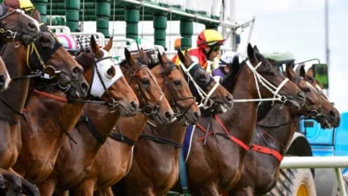 "The Boss Lady Eyes Maiden Victory at Jungle Mist Classic"