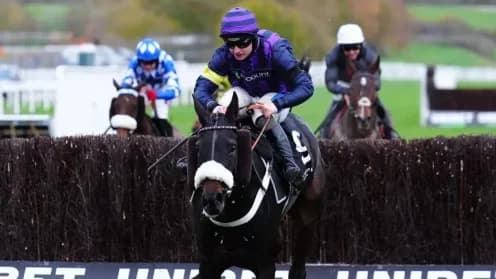 Tragedy Strikes Cheltenham as Three Horses Lose Their Lives