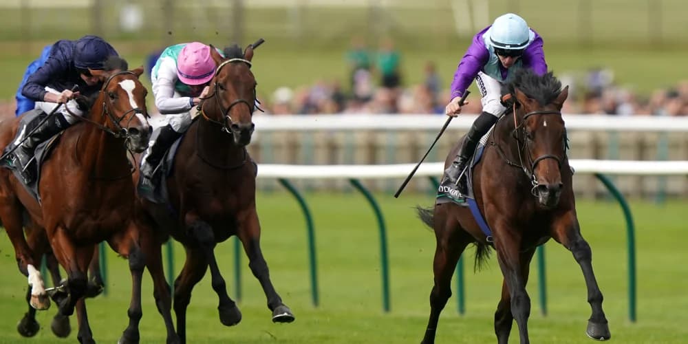 Cox looking forward to Eclipse task with Ghostwriter