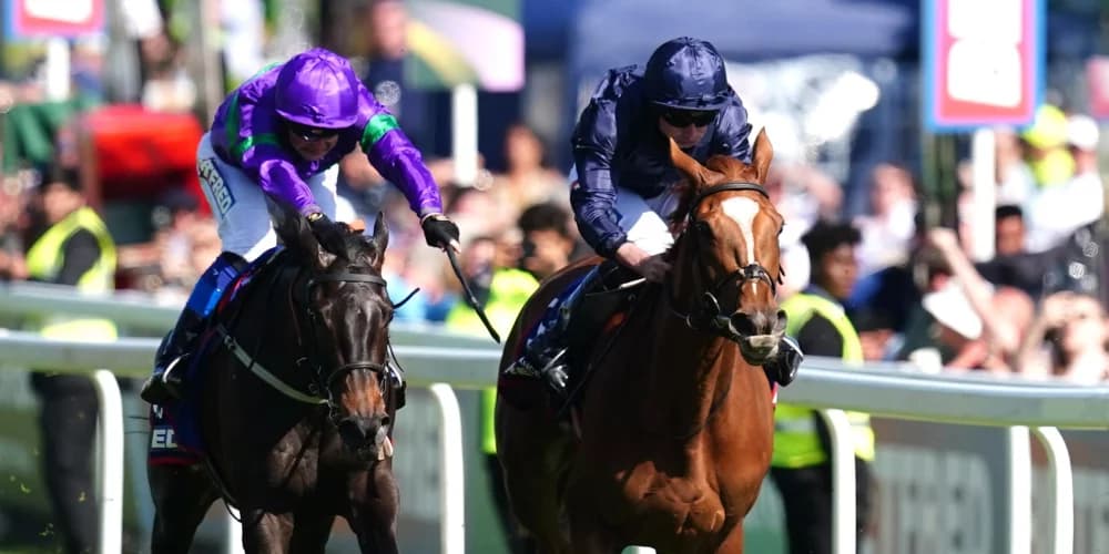 Channon now sure Caernarfon is best suited by mile trip