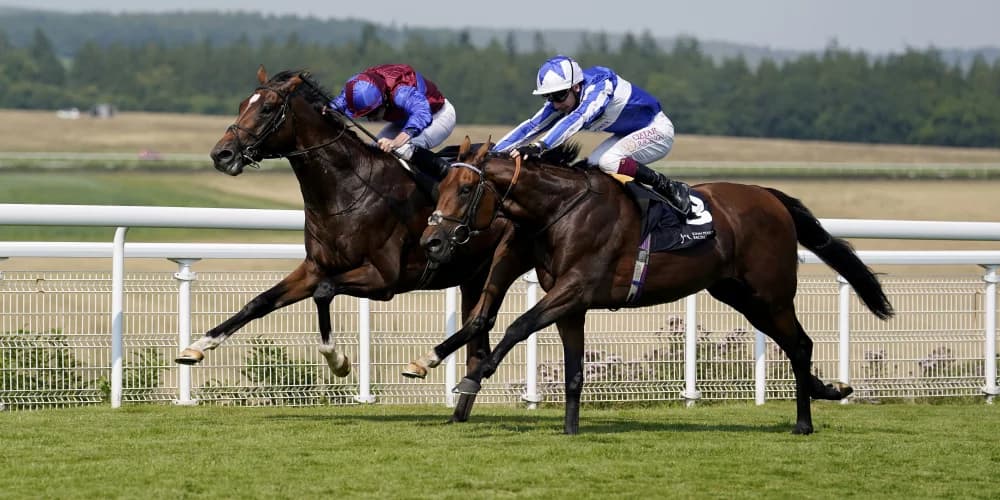 Jan Brueghel stakes Leger claim with gutsy Gordon Stakes win