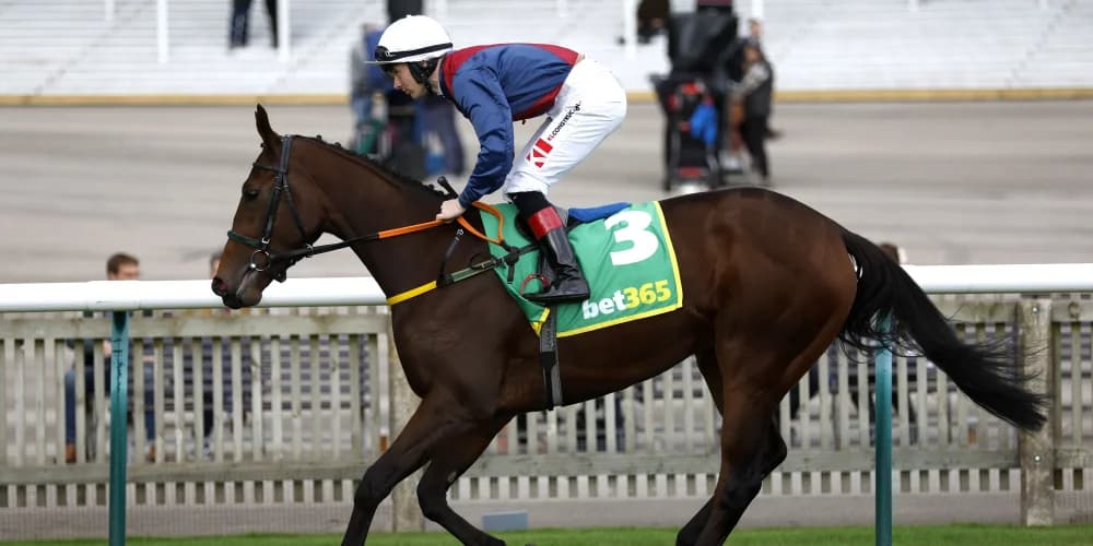 Meade mulling next move with Caught U Looking