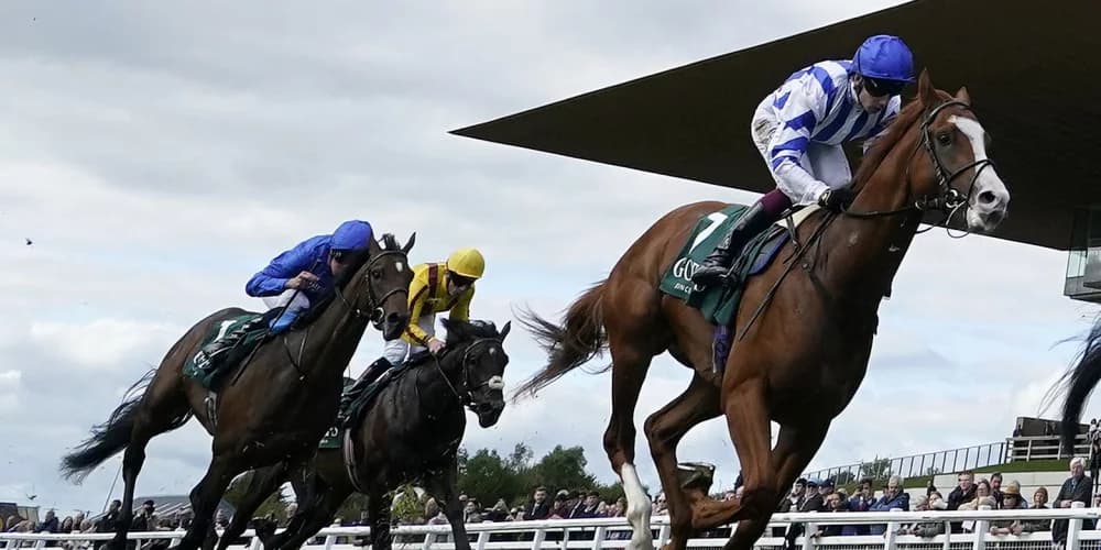 Seagulls Eleven will stay on Group One path