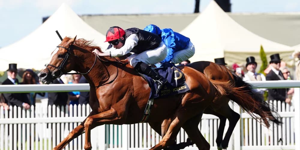 Kyprios Aims to Reclaim Glory in the Irish St Leger